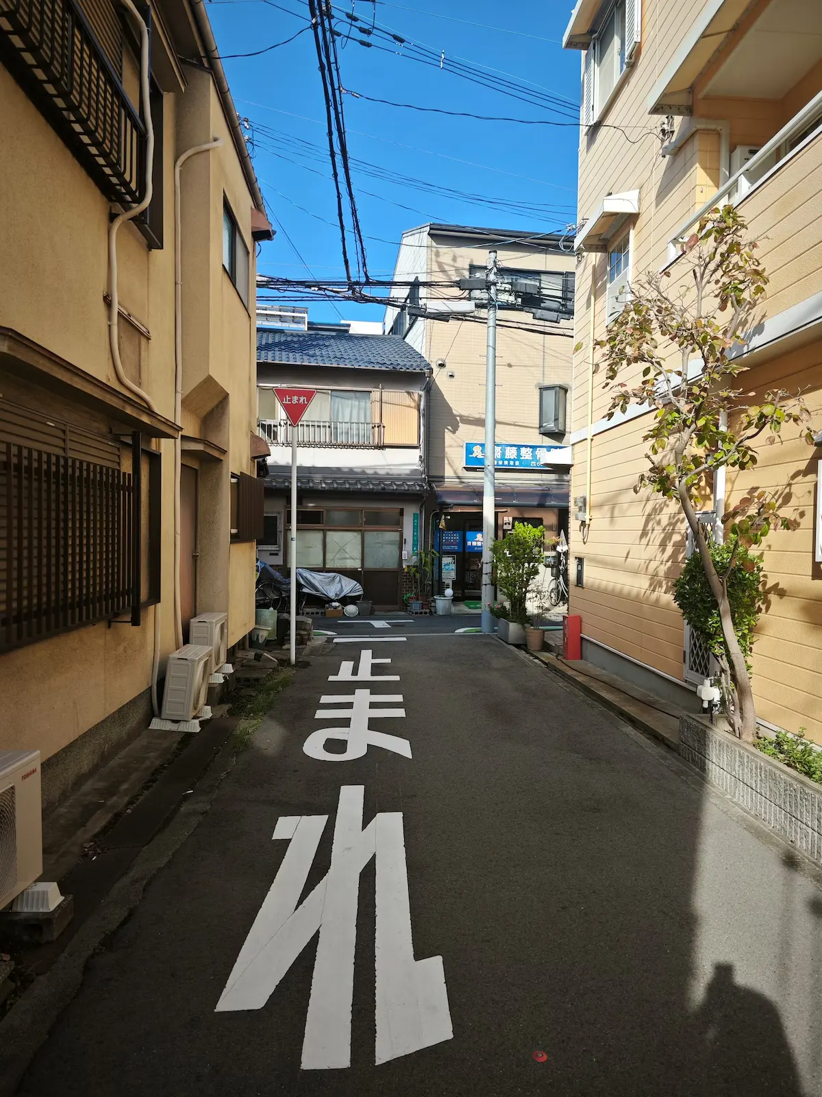 粉浜・照 43