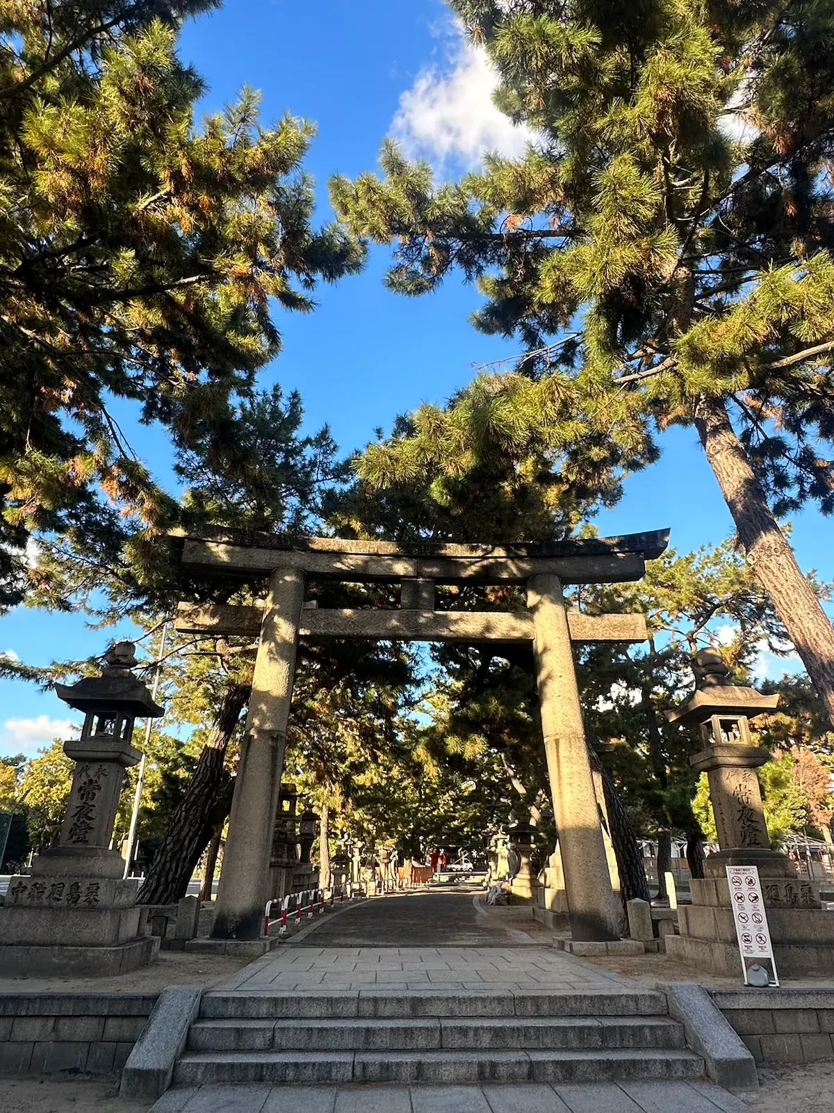 旅タイム・沐の花 31