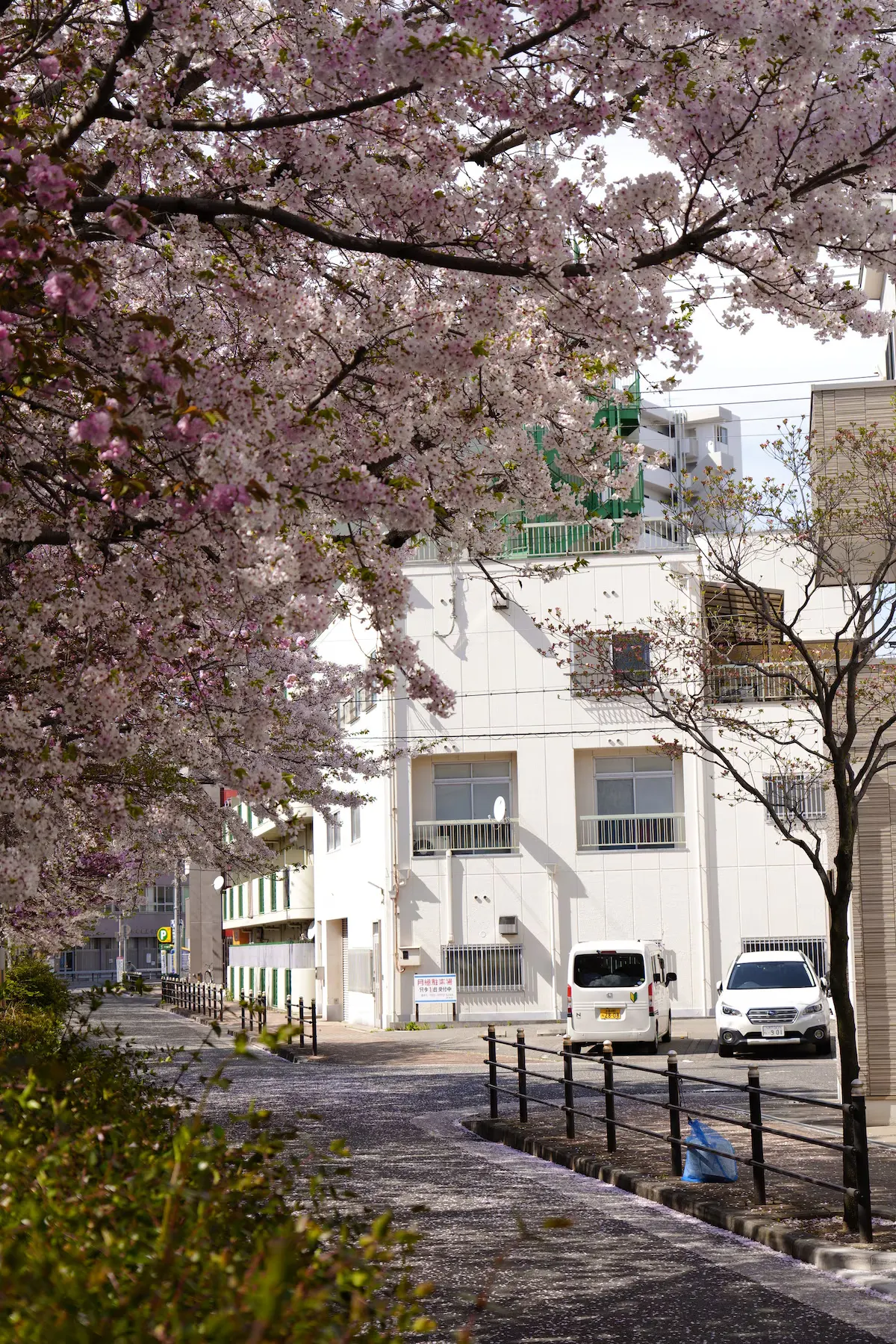 旅タイム・岸里春日 39