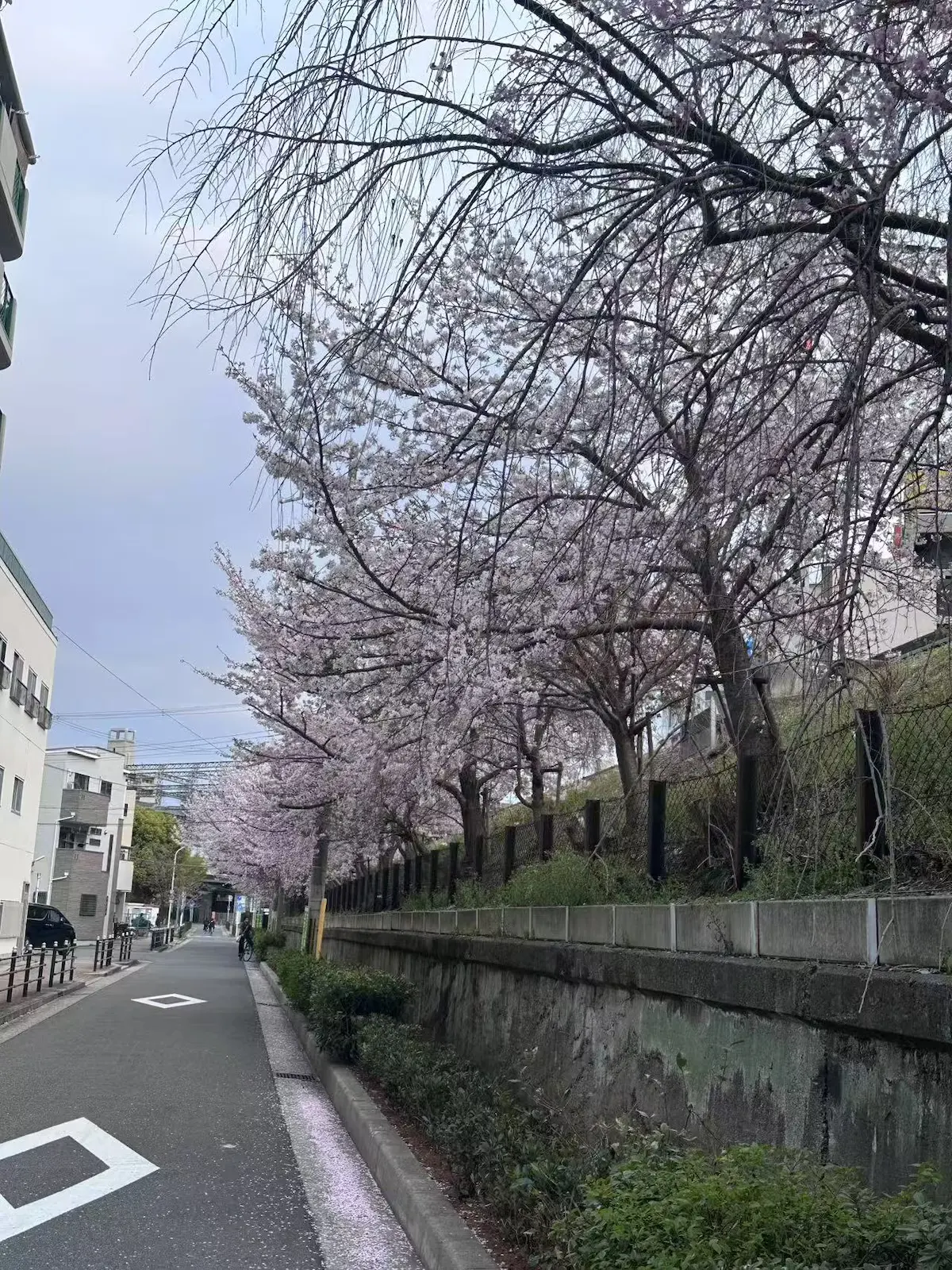 旅タイム・岸里春日 45