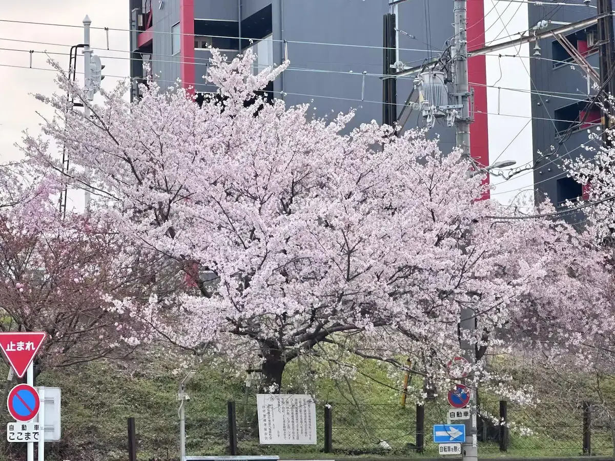 旅タイム・岸里春日 49