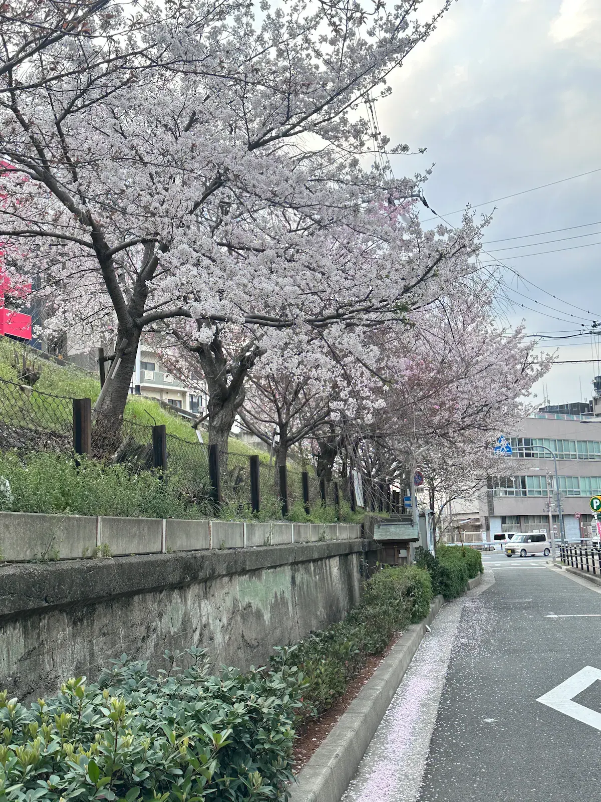 旅タイム・岸里春日 50