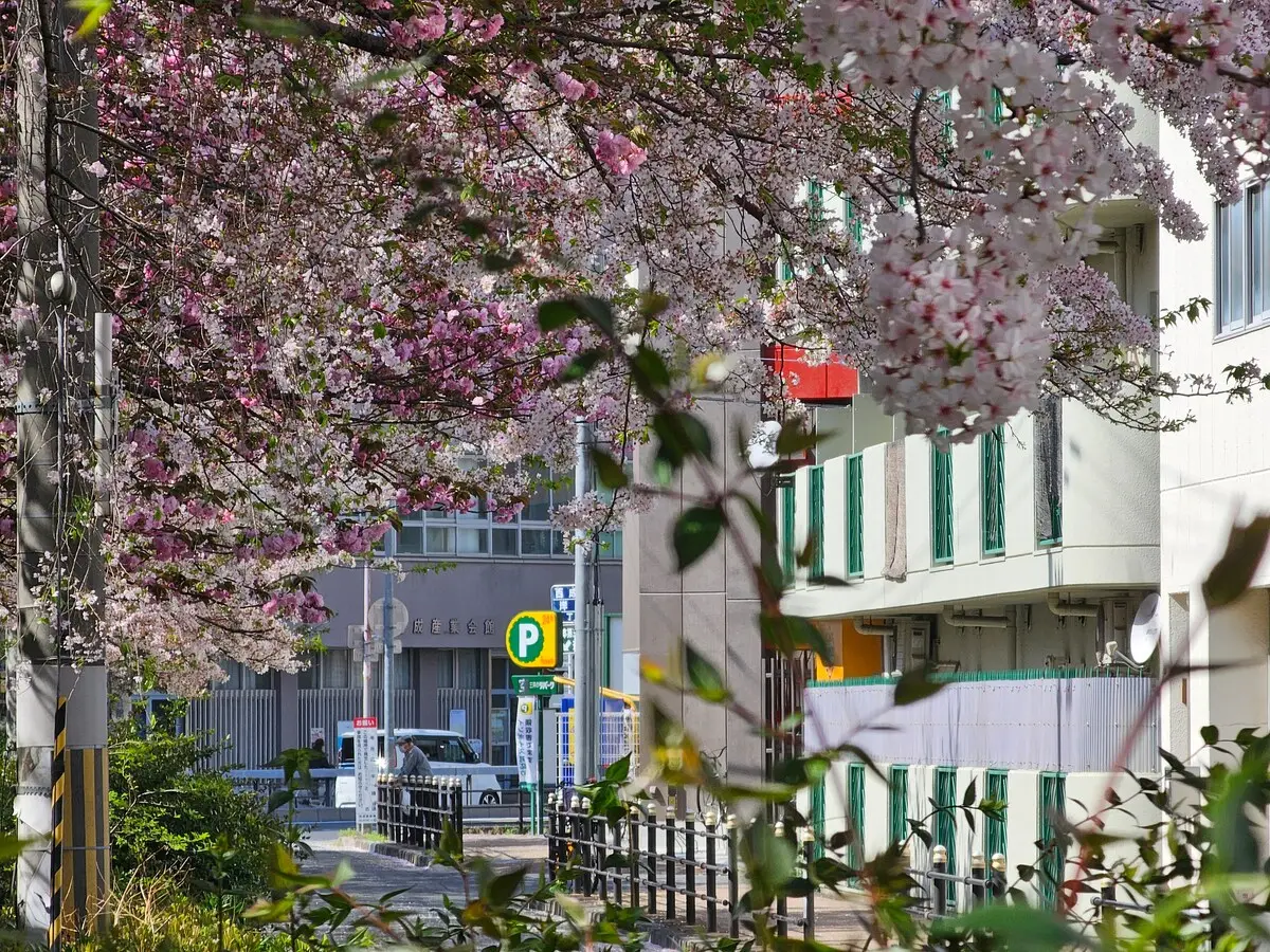 旅タイム・岸里春日 42
