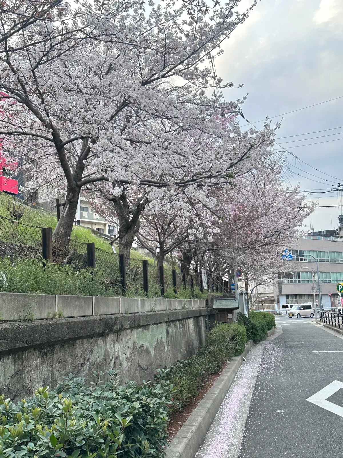 旅タイム・岸里美山 60